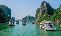 Cẩm nang du lịch Tết Hạ Long 2026