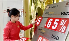 Lãi suất ngân hàng nào cao nhất hôm nay 10/9/2026?