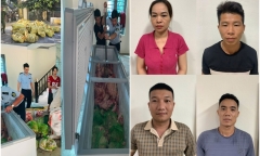 Tạm giữ 4 người ở Thanh Hóa gom heo mắc dịch tả heo châu Phi bán ra thị trường
