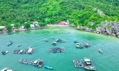 Cẩm nang du lịch hòn Nghệ Kiên Giang từ A đến Z
