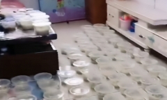Con gái tự ý đặt 100 tô mì xào vì 