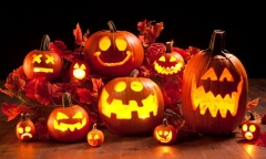 Vì sao quả bí ngô trở thành biểu tượng của lễ hội Halloween?