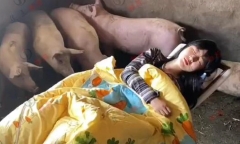 Cô gái trẻ có sở thích ngủ trong chuồng lợn khiến cộng đồng mạng tranh cãi