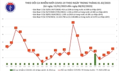 Ngày 8/2: Cả nước có thêm 19 ca mắc mới COVID-19