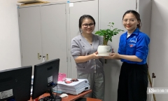 Tuổi trẻ Hội Luật gia Việt Nam hưởng ứng ngày 
