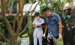 Hà Nội ghi nhận hơn 300 ca sốt xuất huyết/tuần, chuyên gia cảnh báo 