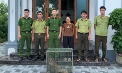 Cá thể khỉ mốc vừa