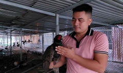 Cử nhân luật thu nhập hàng năm trên 300 triệu nhờ nuôi loài yếu ớt, ưa sạch sẽ