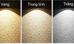 Đèn học ánh sáng vàng hay trắng tốt cho thị lực của trẻ hơn?