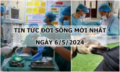 Tin tức đời sống ngày 6/5/2024: Phát hiện ấu trùng đang cử động trong tai bé gái