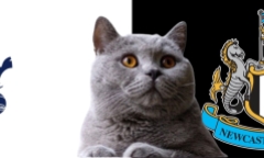 Alisson bị đồng đội 