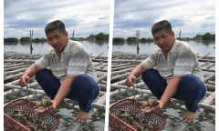 Nuôi con vật giúp tăng cường 