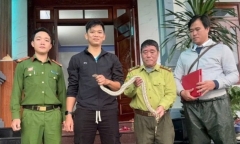 Gặp con vật