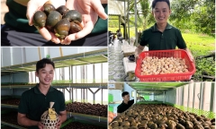 Từ chối công việc văn phòng, 9X