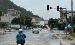 Tin mới nhất về siêu bão DOLPHIN