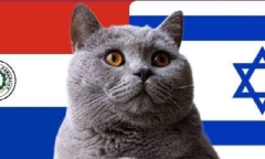 Nhận định soi kèo trận U23 Israel vs U23 Paraguay Olympic Paris 0h ngày 28/7: Mèo tiên tri lưỡng lự