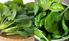 7 thực phẩm giúp gan hoạt động tốt hơn mà ít người để ý