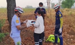 Clip: Tá hỏa phát hiện trẻ sơ sinh với nhiều vết côn trùng cắn giữa đồng hoang