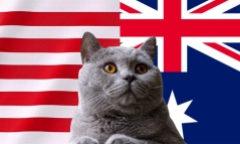 Nhận định soi kèo trận nữ Australia-Mỹ Olympic Paris, 0h ngày 1/8: Mèo tiên tri hủy diệt Australia