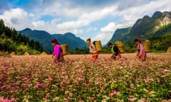 Gợi ý nhưng tour nhóm xuất phát từ TP HCM?
