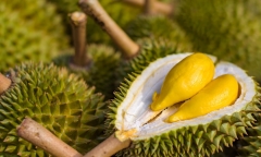 Những công dụng bất ngờ của vỏ sầu riêng, đừng vội vứt đi sau khi ăn cùi