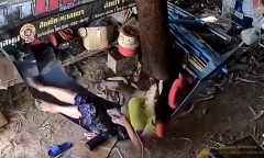 Đang nằm võng đu đưa, cô gái hốt hoảng khi bị rắn nhảy thẳng vào người