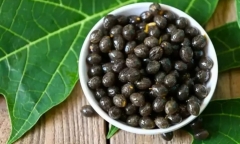 Loại hạt thường bị vứt đi nhưng lại là “thần dược” giải độc gan