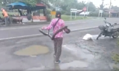 Clip: Người phụ nữ tay không bắt trăn 2 mét và câu nói khiến ai cũng ngỡ ngàng