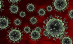 Tin tức đời sống ngày 21/10: Việt Nam ghi nhận ca cúm A/H5N1 trên người sau hơn 8 năm