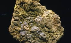Các công ty Mỹ chi 1 tỷ USD mua uranium từ Nga mỗi năm