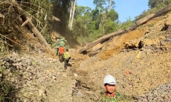 Dùng 6 tấn thuốc nổ đánh sập 75 hầm vàng ở Quảng Nam