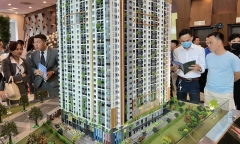 Đại biểu lo ngại người nước ngoài núp bóng, thâu tóm đất đai ở Việt Nam