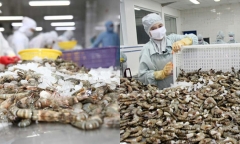 Nhật Bản là nhà nhập khẩu hải sản lớn nhất của Việt Nam