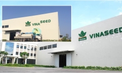 Vinaseed “quay xe” giảm gần 9% kế họạch lợi nhuận năm