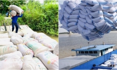 Indonesia tăng nhập khẩu 1,6 triệu tấn gạo: Cơ hội các nhà xuất khẩu gạo Việt Nam