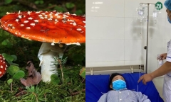 6 người trong một gia đình cấp cứu vì ngộ độc nấm
