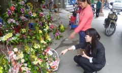 Nữ giảng viên khuyết tật và hành trình mang lại điều tốt đẹp cho những người “cùng khổ”