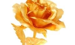 Quà tặng đặc biệt cho phái đẹp ngày 8/3