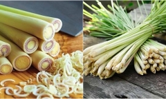  Loại rau này chỉ mùa đông mới có, giúp bổ gan lại ngủ ngon nhưng người có dấu hiệu này không nên ăn