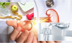 Muốn thận khỏe mạnh, hãy xây dựng những thói quen này giúp sống thọ, vui khỏe