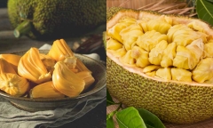 Những người không nên ăn mít kẻo mang bệnh vào người