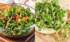 Loại rau mọc dại đầy ở Việt Nam nhưng 