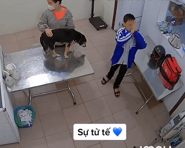 Đưa chó cưng đi khám thú y, nam sinh có hành động đặc biệt khiến dân mạng xuýt xoa
