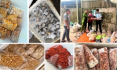 Phát hiện, thu giữ 4 tấn thực phẩm không rõ nguồn gốc ở Thanh Hóa