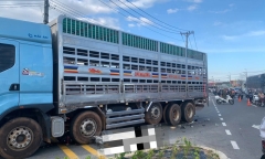 Xe tải chở gia súc cán đôi vợ chồng sắp cưới tử vong thương tâm ở Bình Dương
