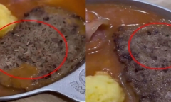 Vụ dòi bò lúc nhúc trong pate: Cột Điện Quán đình chỉ vĩnh viễn cơ sở Thái Bình