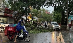 Tin bão mới nhất: Bão số 3 WIPHA cách Quảng Ninh - Hải Phòng khoảng 233km