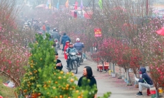 Miền Bắc đón nắng ấm trước khi rét đậm