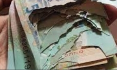 Tư vấn pháp luật: Xấp tiền bị chuột cắn rách, có được mang ra ngân hàng đổi?