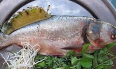 Những món đại kỵ ngày Tết, đừng ăn kẻo cả năm 